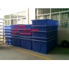 700L塑料方形|700（公斤）PE食品級(jí)周轉(zhuǎn)箱