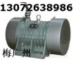 YZG30-2.2/2振動電機(jī)  ZFB-15倉壁振動器