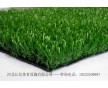 山西專業(yè)人造草坪公司
