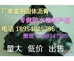 荔波專業(yè)10號建筑瀝青供應商