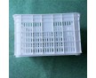 供應(yīng)南寧青椒，植物，水果塑料筐價格質(zhì)量廠家直銷saipuws