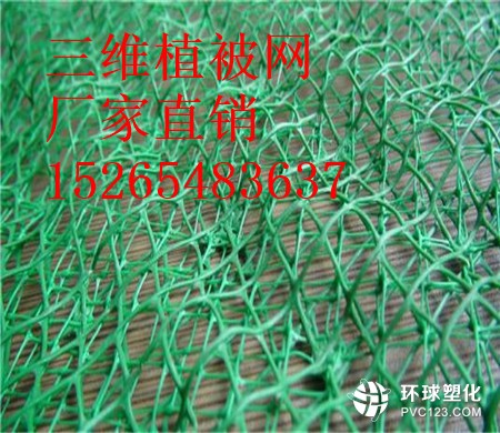 舟山三維植被網(wǎng)價格15265483637